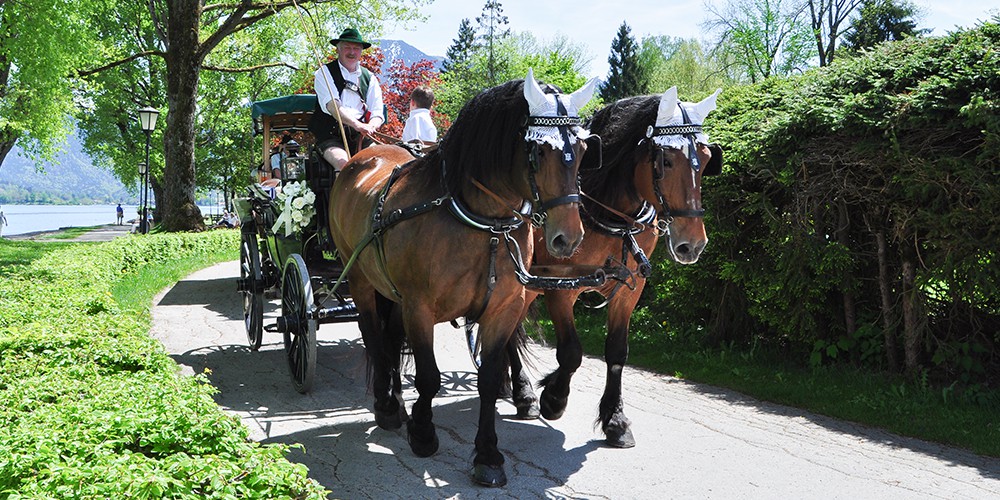 Copyright Gerlind Schiele Photography Tegernsee +49 (0) 170 - 908 85 85 Kutschen- und Pferdeschlittenfahrten Josef Kreidl