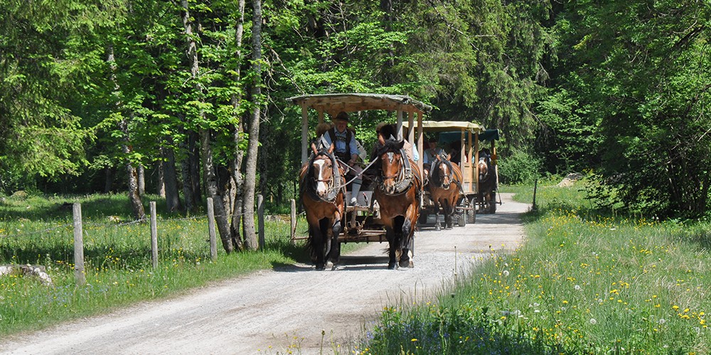Copyright Gerlind Schiele Photography Tegernsee +49 (0) 170 - 908 85 85 Kutschen- und Pferdeschlittenfahrten Josef Kreidl