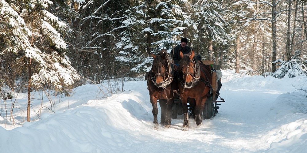 Copyright Gerlind Schiele Photography Tegernsee +49 (0) 170 - 908 85 85 Kutschen- und Pferdeschlittenfahrten Josef Kreidl