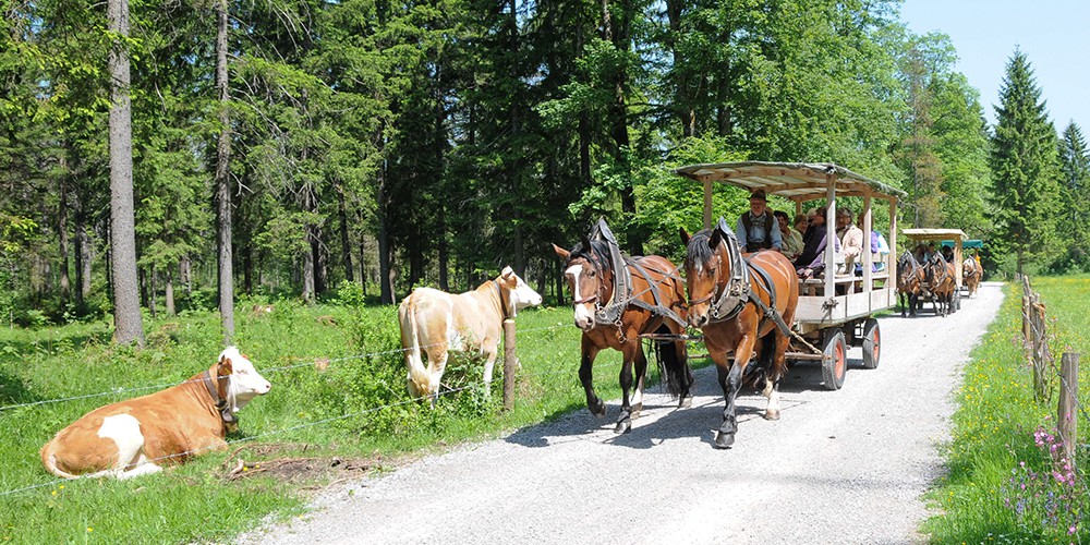 Copyright Gerlind Schiele Photography Tegernsee +49 (0) 170 - 908 85 85 Kutschen- und Pferdeschlittenfahrten Josef Kreidl
