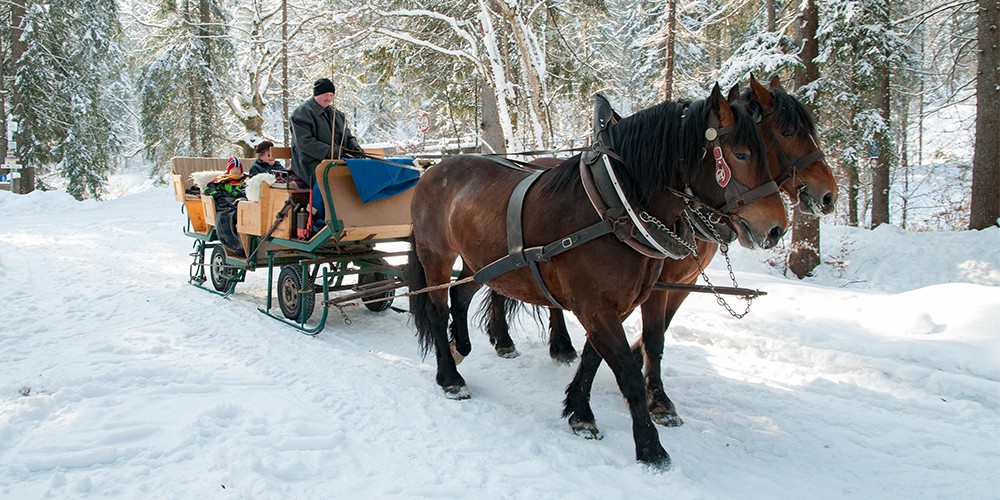 Copyright Gerlind Schiele Photography Tegernsee +49 (0) 170 - 908 85 85 Kutschen- und Pferdeschlittenfahrten Josef Kreidl